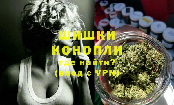 молекула духа Алексин