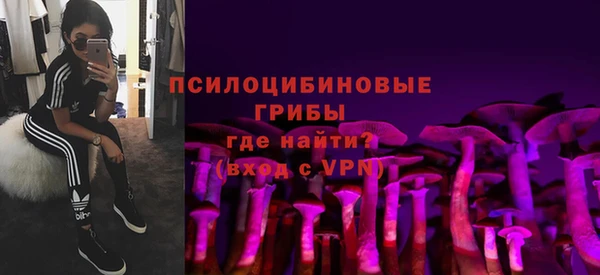 spice Алзамай