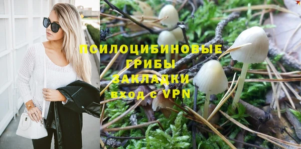 spice Алзамай