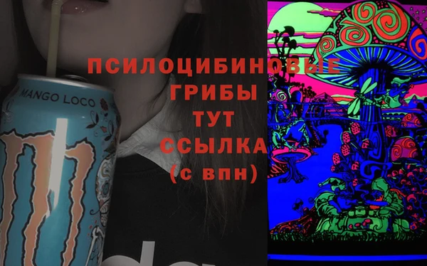 стаф Алексеевка