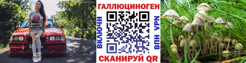 площадка наркотические препараты Спасск Галлюциногенные грибы мухоморы